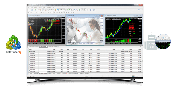 Copilot EA Manager : Money management EA for metatrader 4